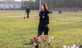 警花与警犬电视剧全集,热血追踪，正义同行