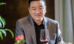 丁勇岱主演的电视剧,传奇人生，荧幕风采