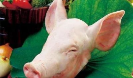 猪头吃瓜爆料图片大全大图,趣味横生的动物瞬间