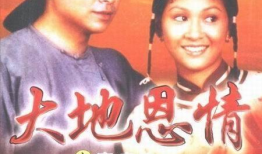 恩情电视剧演员表,实力派演员齐聚，演绎感人至深的情感纠葛